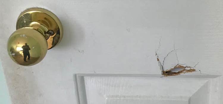 interior door hole repair Torrance