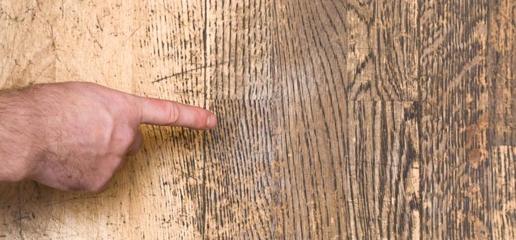 Wood Door Scratch Repair in Torrance